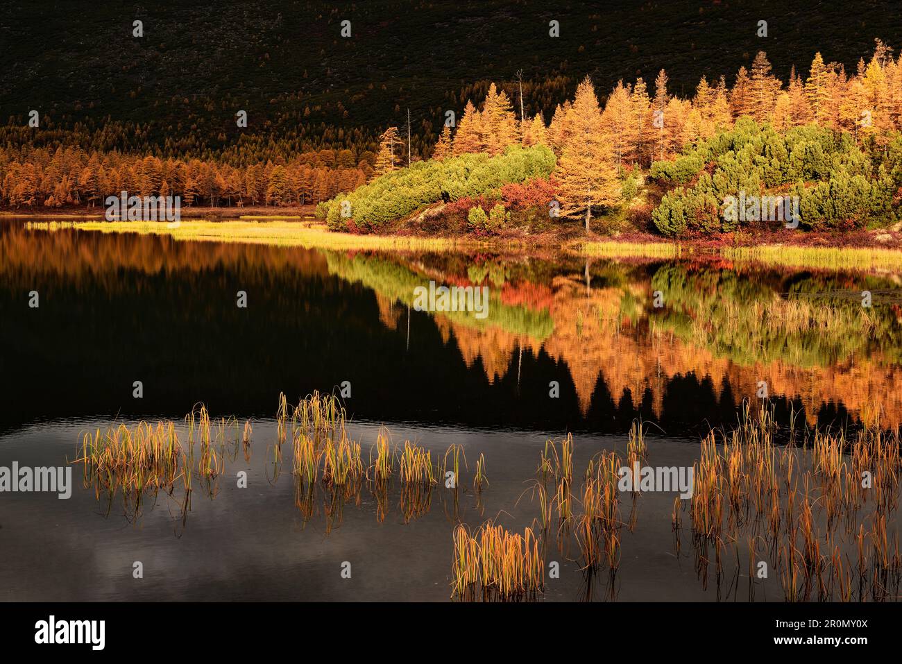 Magadan Spring Magadan region hi-res stock photography and images - Alamy