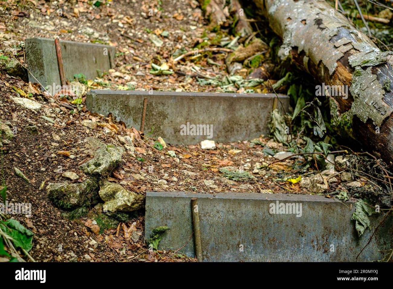 Stone steps on a hiking trail in a wooded area, Swabian Alb, Germany. Stock Photo