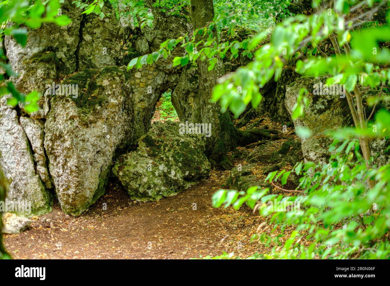Remains of the castle ruin Alt-Lichtenstein, off Lichtenstein Castle ...