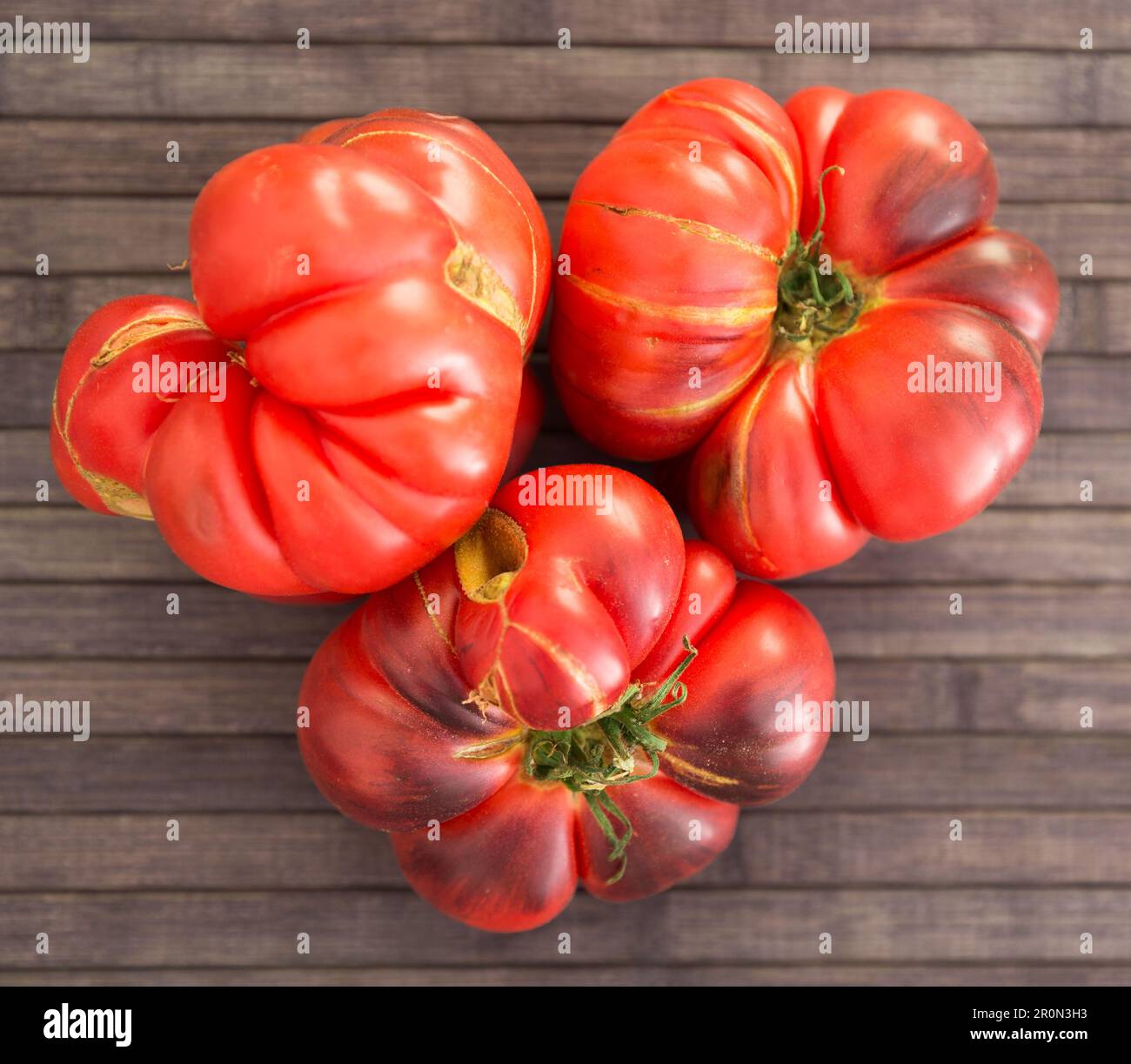 Merinda Tomato