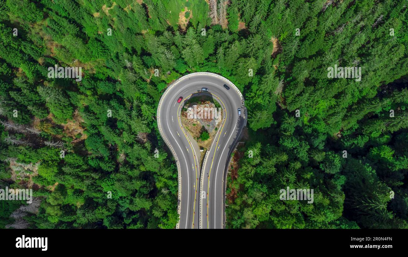 An aerial view of road surrounded by dense trees Stock Photo - Alamy