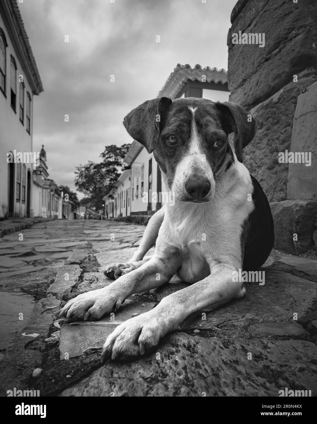 Tiradentes town Black and White Stock Photos & Images - Alamy 