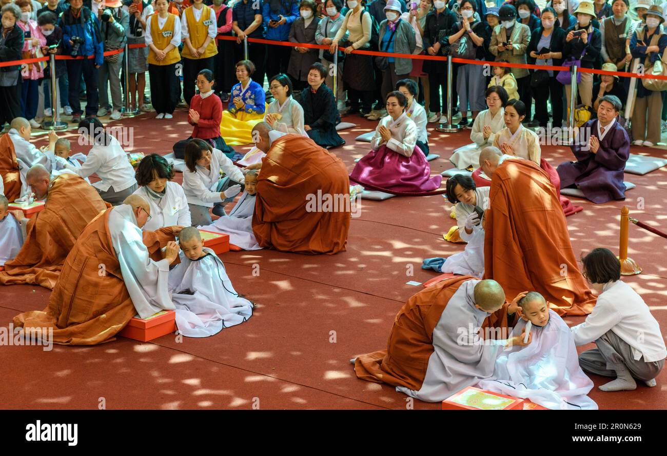 South Korean child monks have their heads shaved by Buddhist monks during an event to celebrate