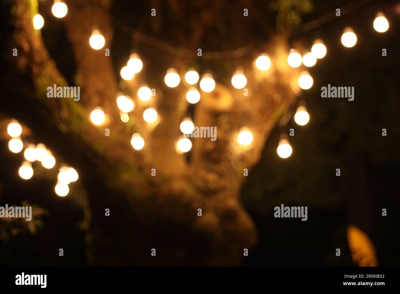 Road defocused light night tree hi-res stock photography and images - Alamy