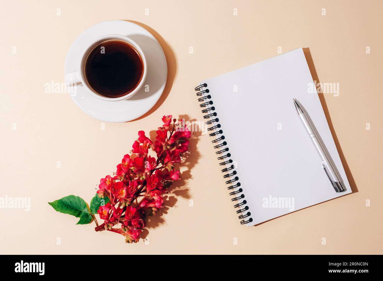 Blank notepad, pen, coffee cup and Aesculus Carnea flower on light beige table with sharp shadows. Holiday concept. Top view, flat lay, mockup. Stock Photo