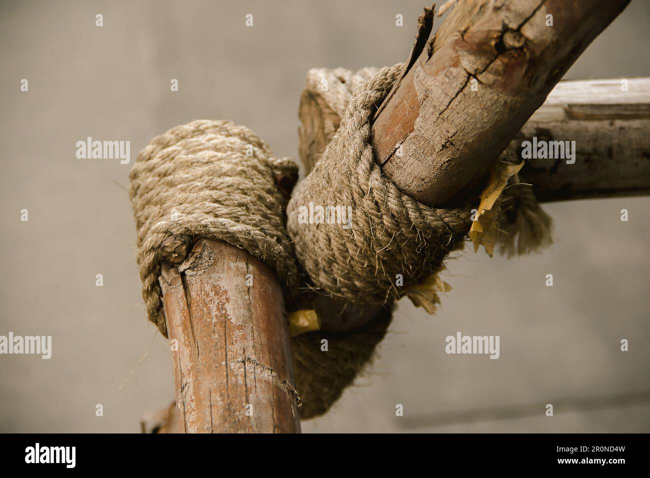 Manila Rope bound to dry wood , Rope tied to many pieces of wood Stock ...