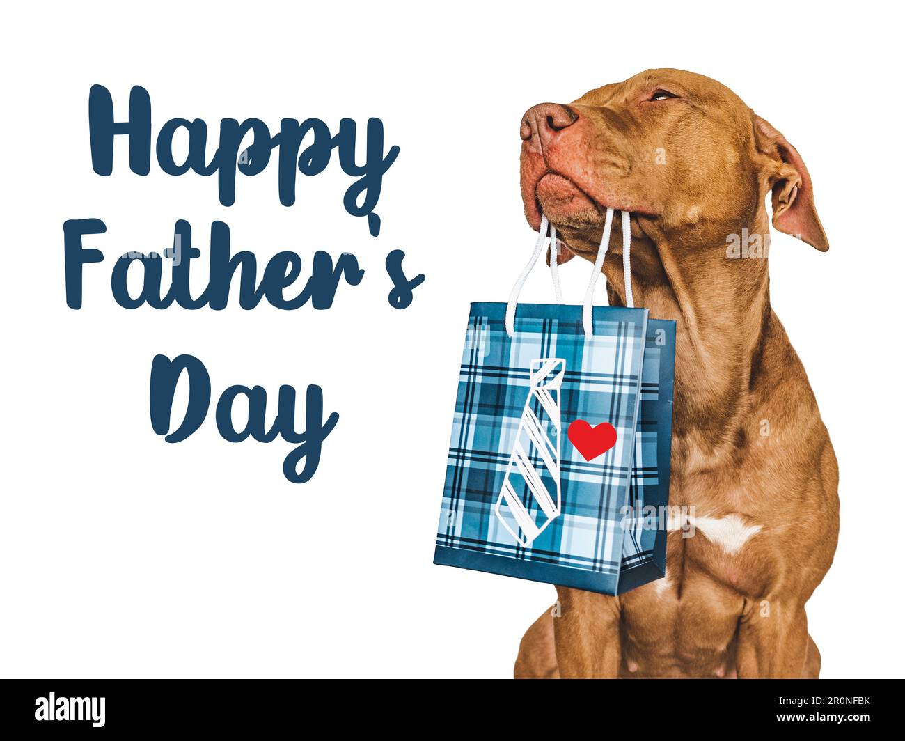  Best Dog Dad Ever Cute Red Pitbull Fathers For Dog