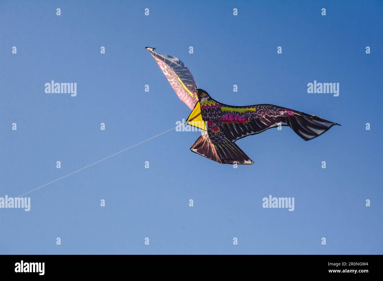 Kite fishing hi-res stock photography and images - Page 3 - Alamy