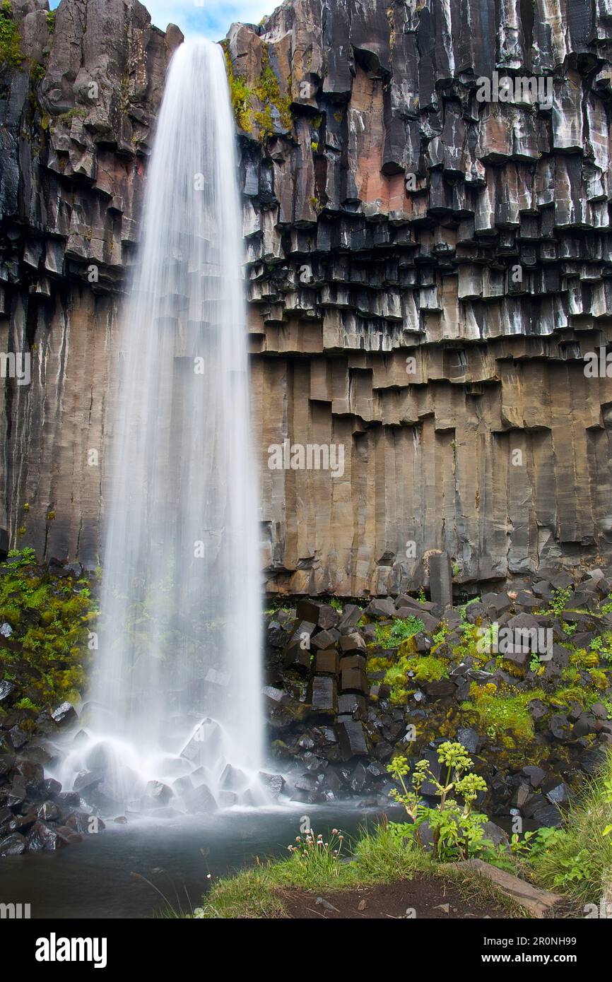 Svartifoss Waterfall With Basalt Columns Skaftafell National Park Svartifoss Waterfall With Basalt Columns Skaftafell National Park