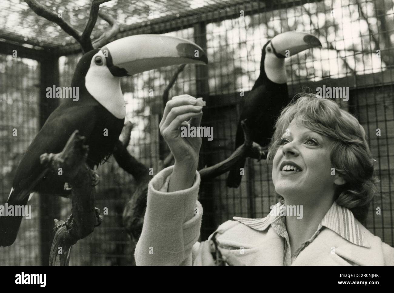 English actress Susie Blake, UK 1976 Stock Photo