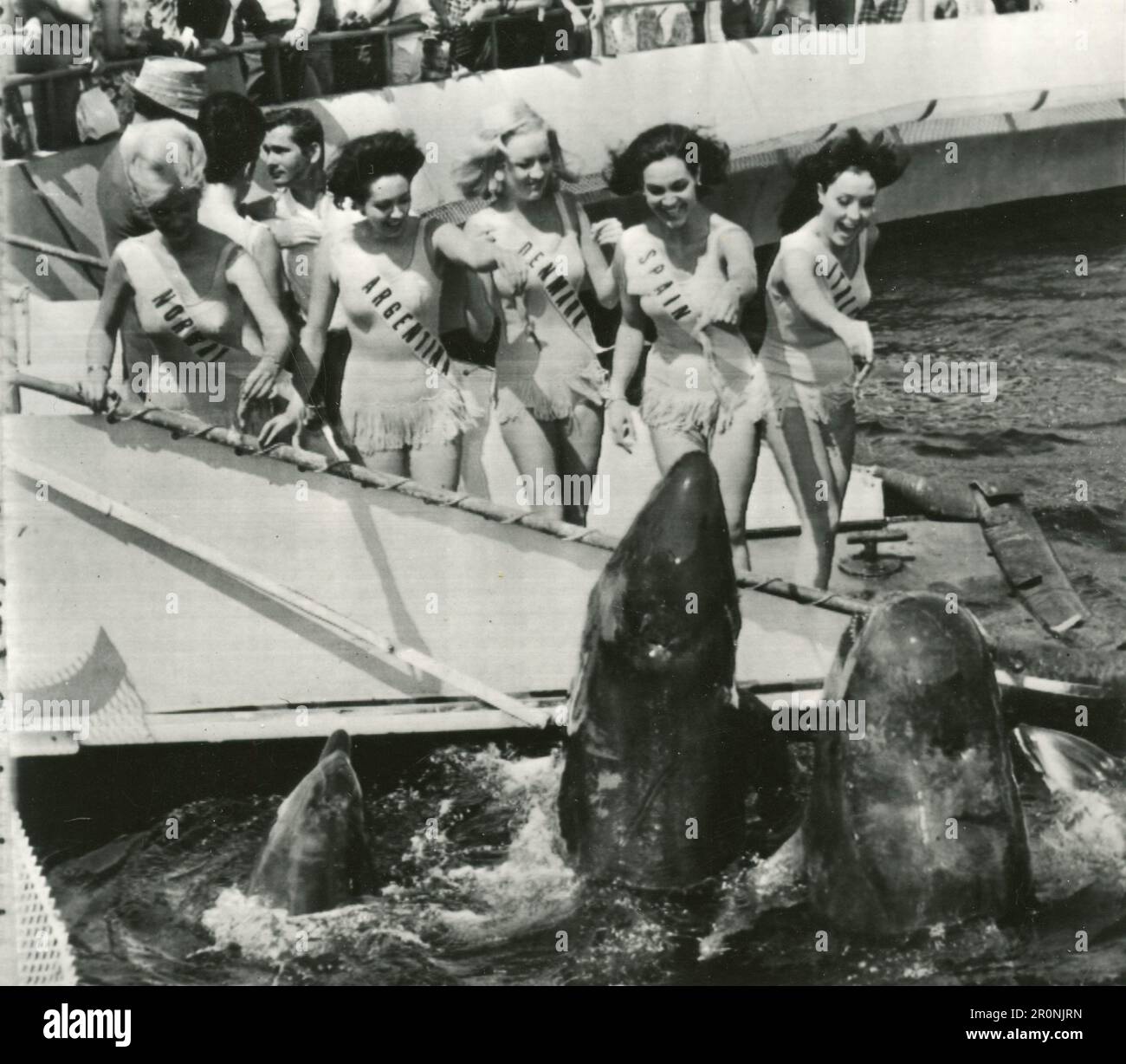 The girls of the world beauty contest feeding the dalphins, 1950s Stock Photo