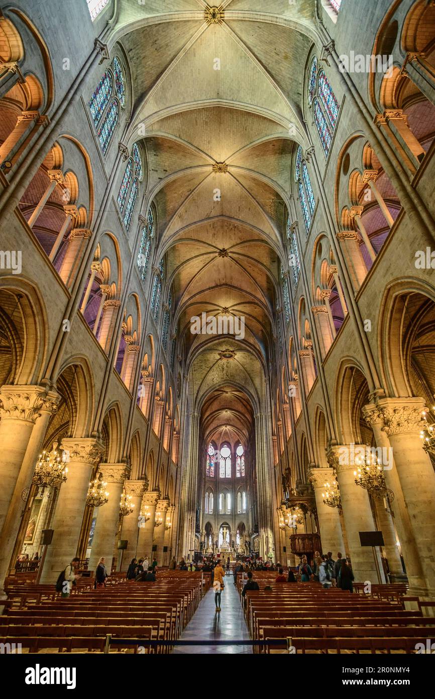 Nave of the NotreDame cathedral, Ile de la Cite, UNESCO World Heritage Seine bank, Paris