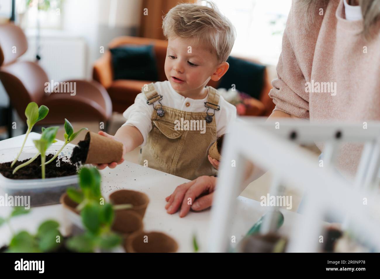 Grandmother with her grandson planting vegetables and flowers Stock ...