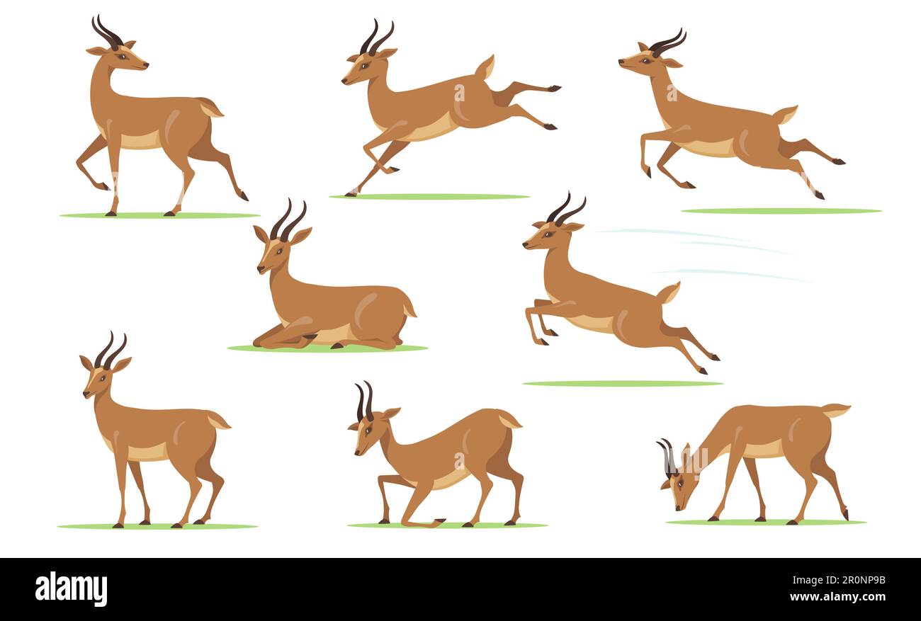 Cartoon gazelle set Stock Vector Image & Art - Alamy