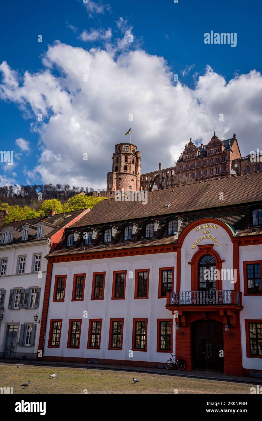 Street in the Old Town with the Castle above, the Altstadt, Heidelberg