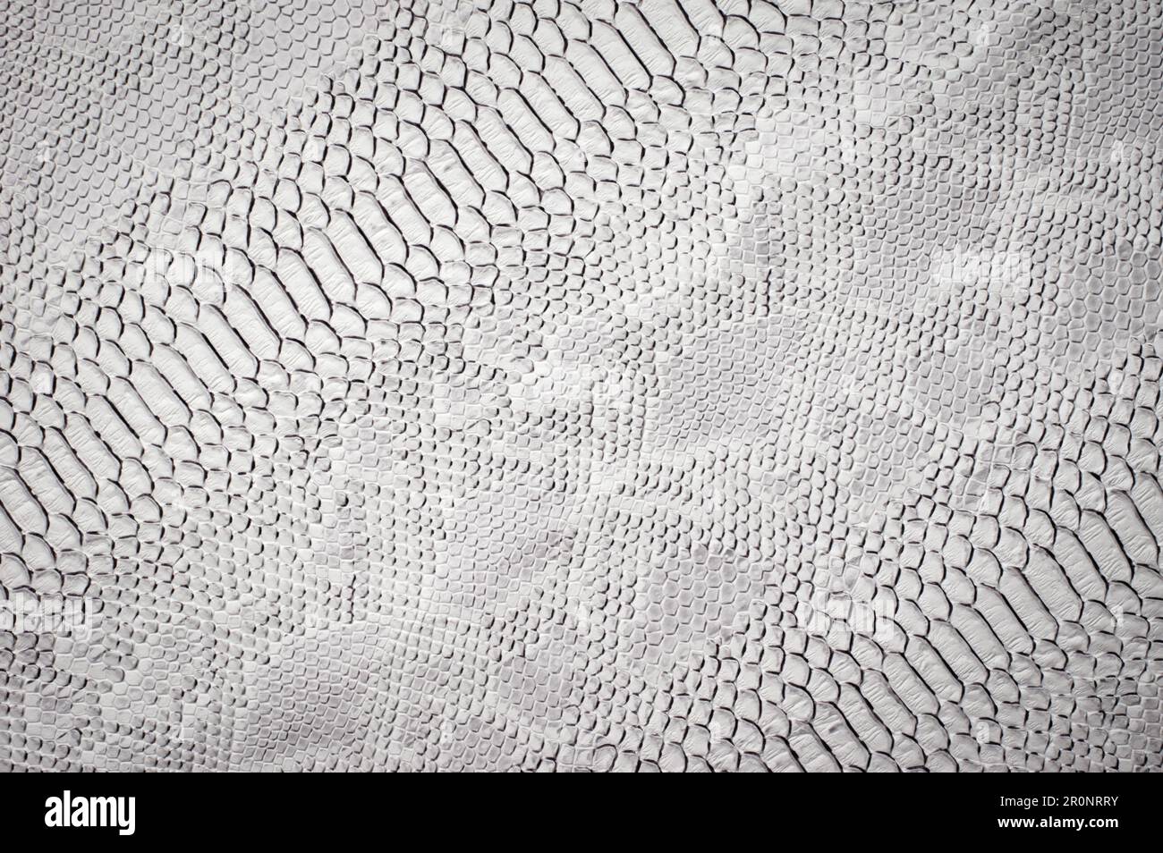 https://c8.alamy.com/comp/2R0NRRY/vegan-faux-snakeskin-leather-texture-minimalist-and-elegant-textile-simple-white-backdrop-2R0NRRY.jpg