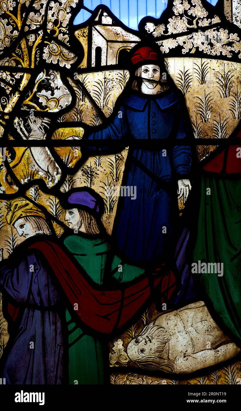 St Neots Church Cornwall UK pre-reformation glazing stain glass windows Stock Photo