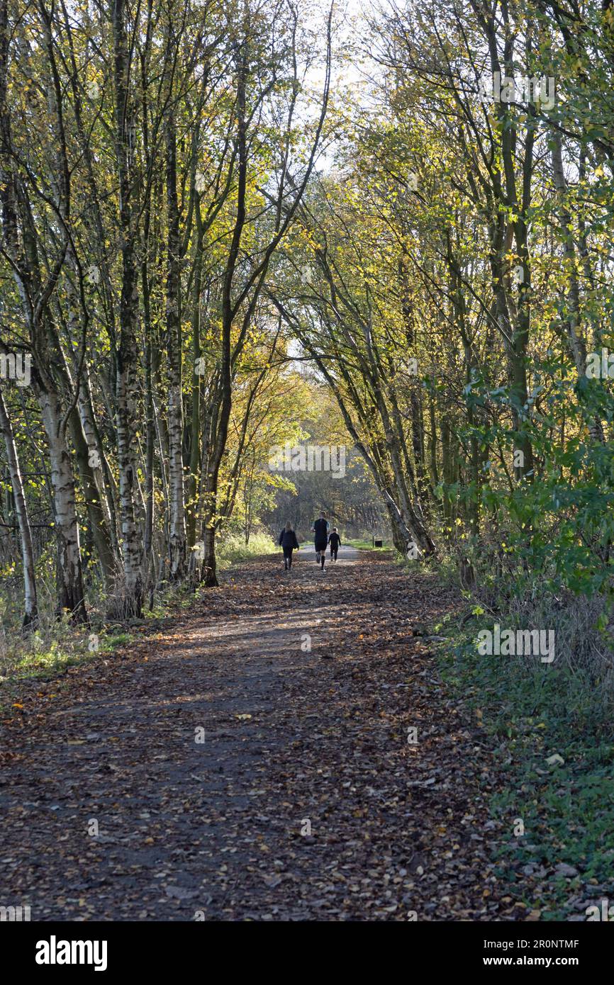 Lancaster Canal Tramroad now a footpath running from Bamber Bridge