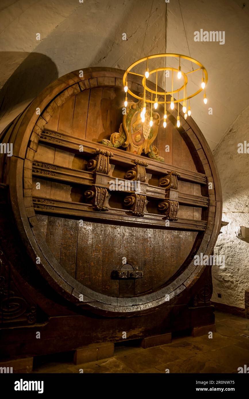 Gigantic Wine Barrel, Heidelberg Castle, Heidelberg, Germany Stock