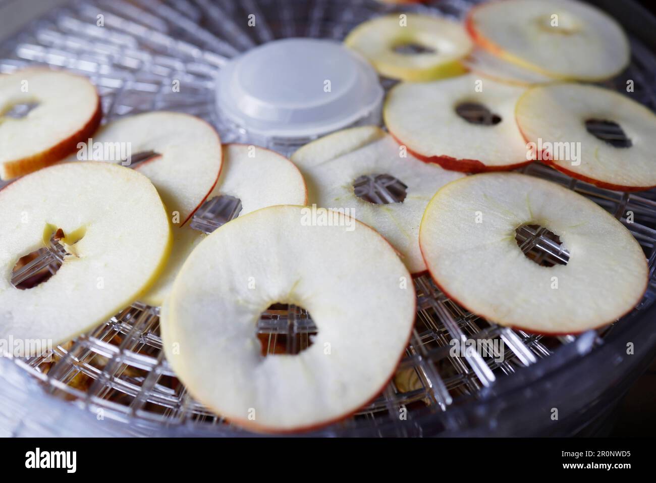 Drying Slices and Pieces of an Apple using a Dehydrator Stock Photo Alamy