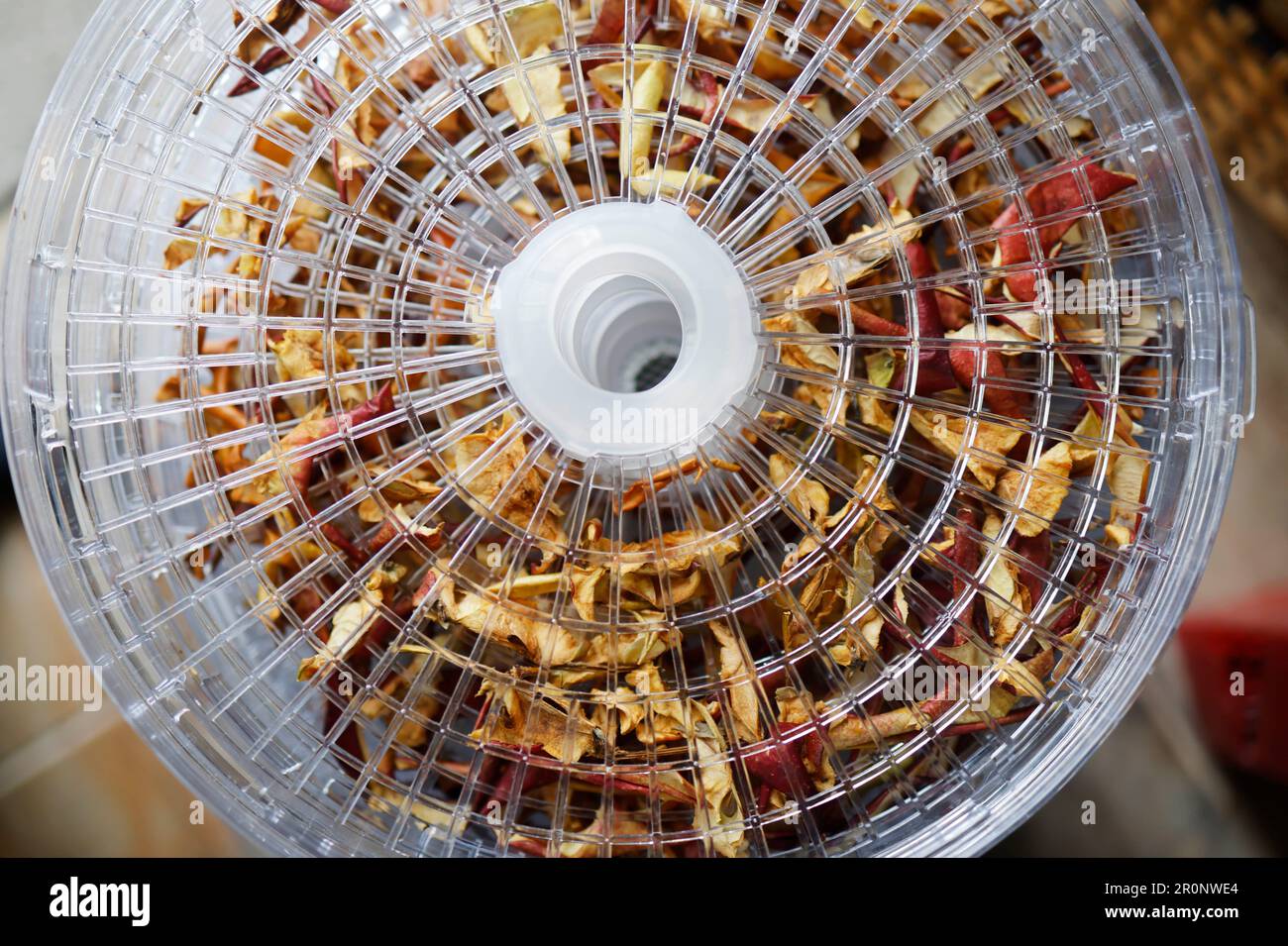 Drying Slices and Pieces of an Apple using a Dehydrator Stock Photo Alamy