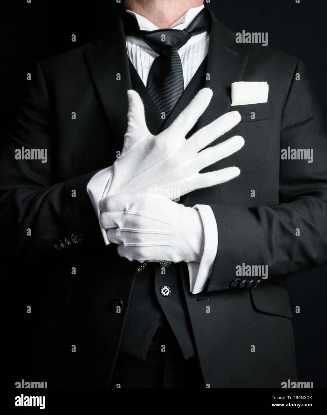 https://c8.alamy.com/comp/2R0NXDK/portrait-of-elegant-butler-in-dark-formal-suit-and-white-gloves-standing-at-attention-service-industry-and-professional-courtesy-2R0NXDK.jpg