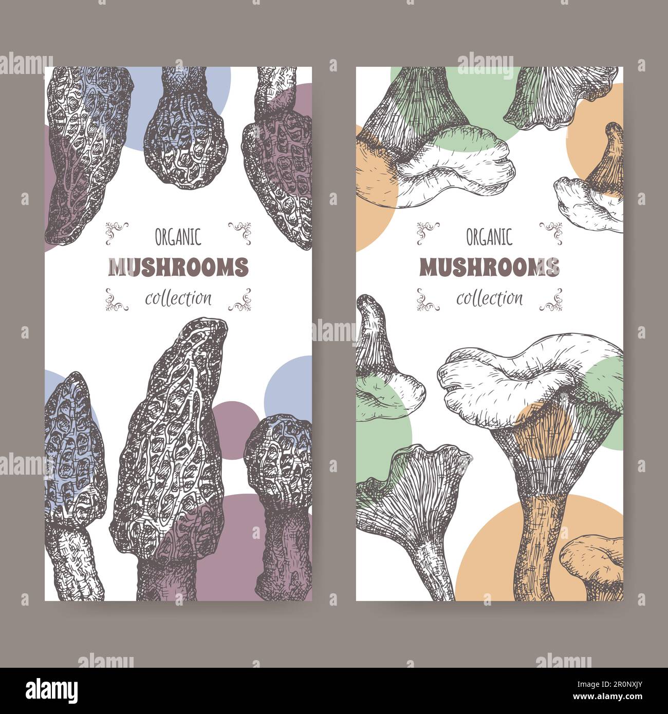 Two labels with Morchella elata aka black morel and Cantharellus