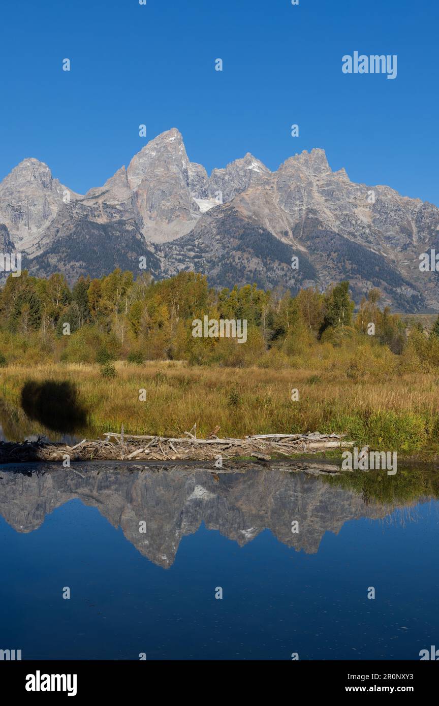 Scenic Autumn Landscape Reflection in the Tetons Stock Photo - Alamy