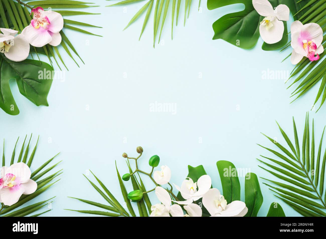 Summer flat lay background tropical leaves on blue Stock Photo - Alamy