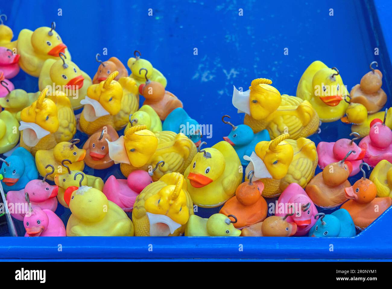 Rubber Ducks in Pool Amusement Park Fishing Game Stock Photo - Alamy