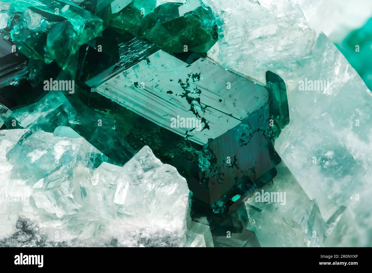 Dioptase crystal on white calcite. macro detail texture background. close-up raw rough unpolished semi-precious gemstone Stock Photo