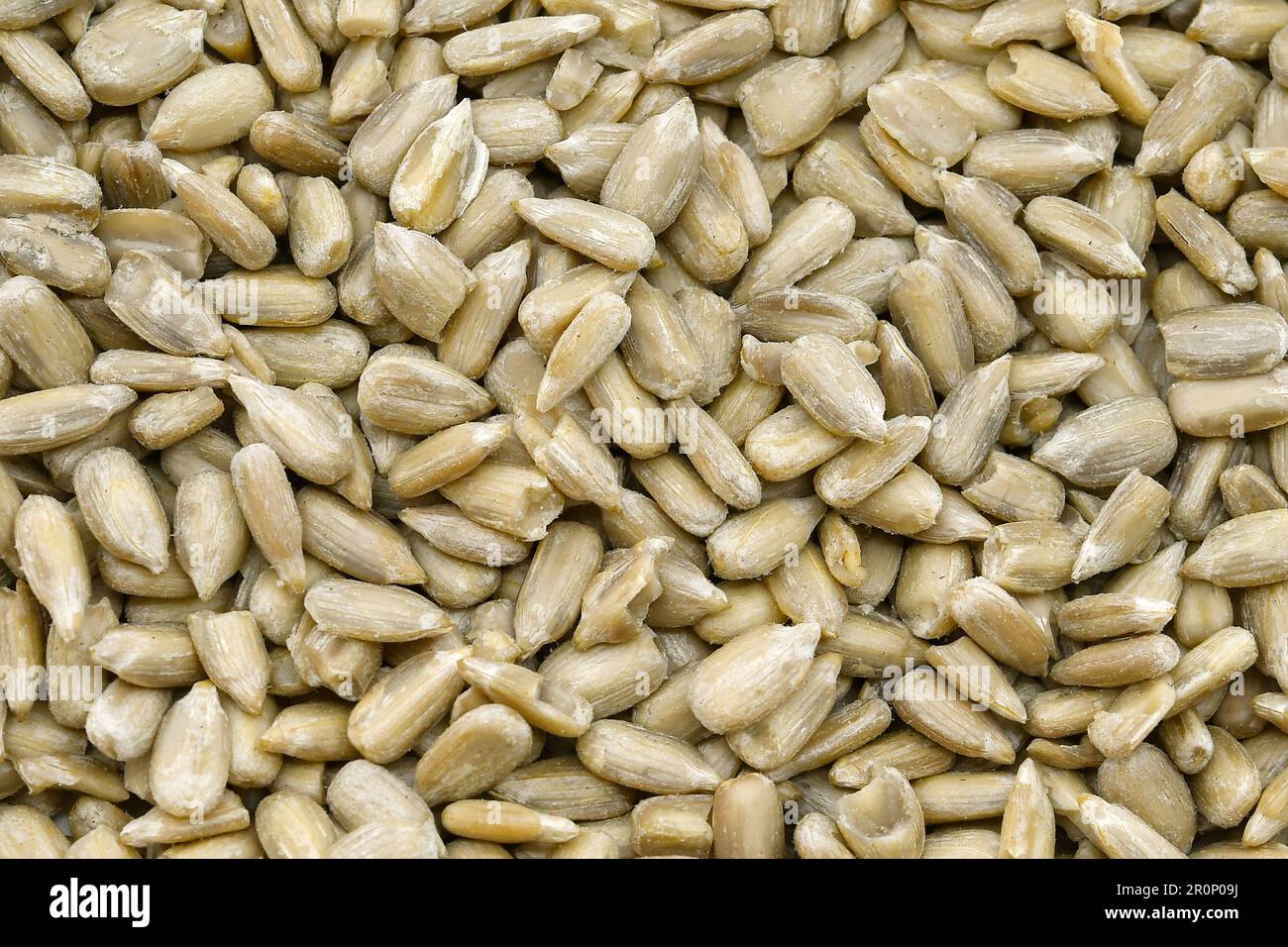 Close up of sunflower seeds. Background. Stock Photo