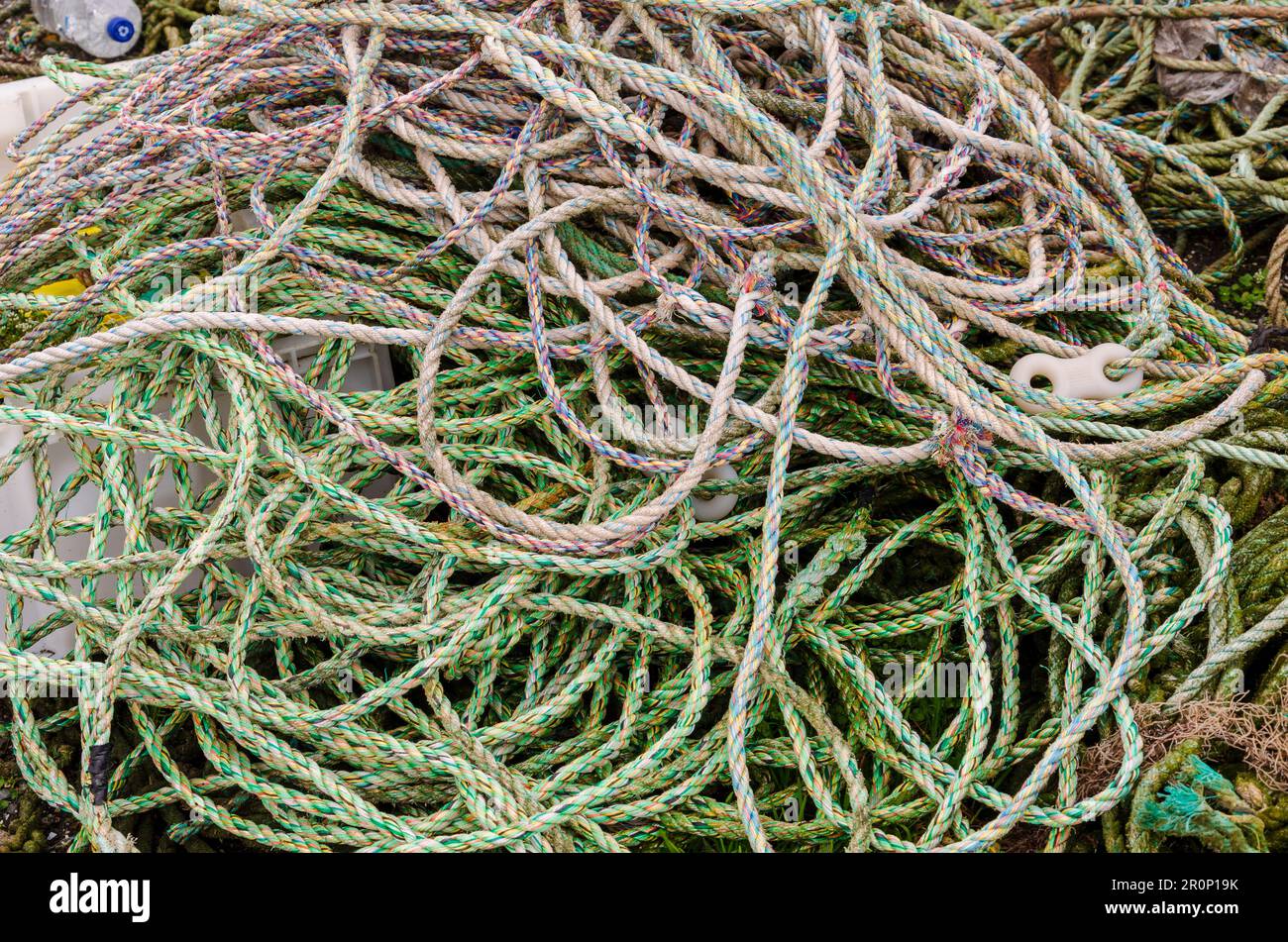 Rope used for lobster pots sitting on the quayside in Ballywalter County Down Stock Photo