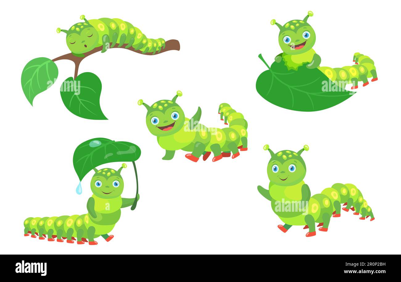 Cartoon funny caterpillar set Stock Vector Image & Art Alamy