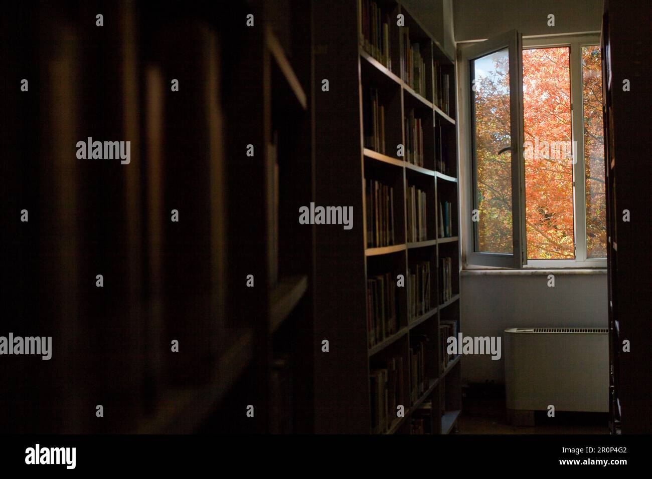 An autumn season from the library window Stock Photo - Alamy