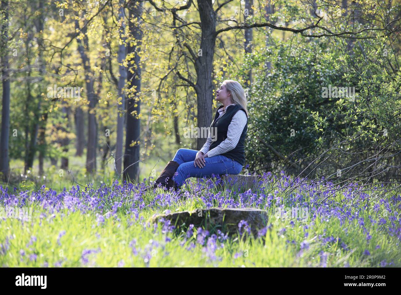 A woman sitting on a tree stump in a bluebell wood Stock Photo - Alamy