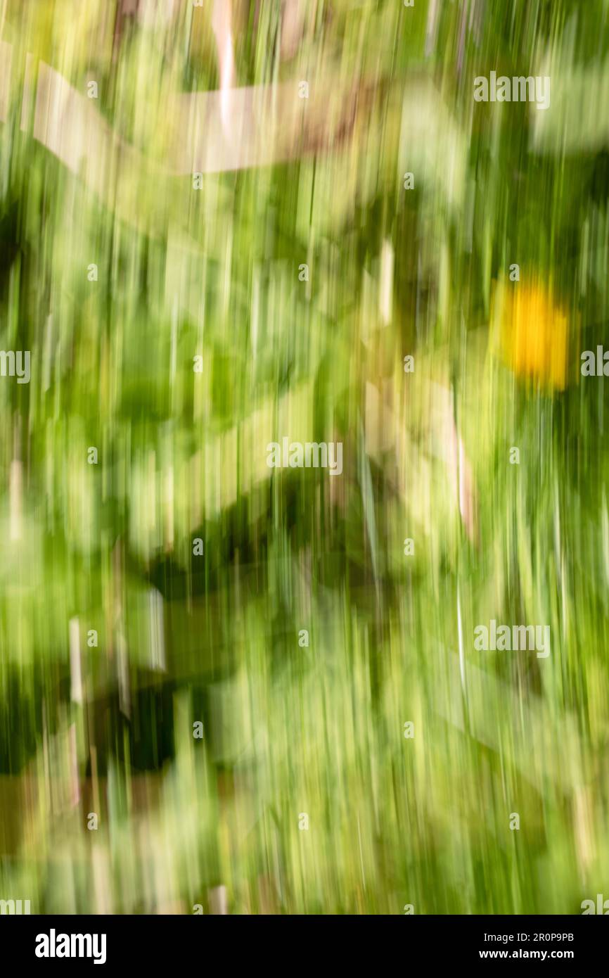 Spring abstarct backgrounds, defocused grass shapes. Blurred by camera motion. Stock Photo