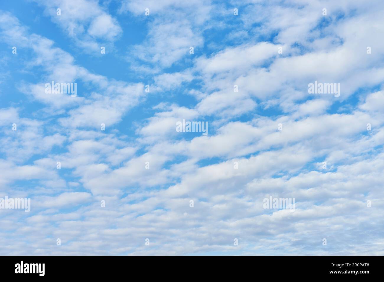 Fluffy cumulus clouds in the blue sky Stock Photo