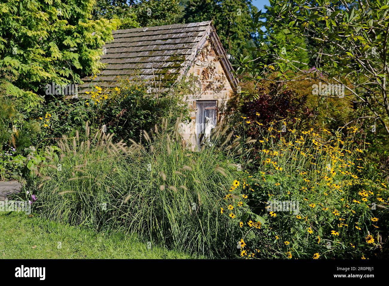 garden scene, green, yellow, flowers, trees, old building, Chanticleer