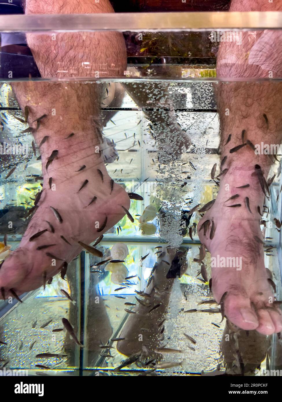 Young man's feet immersed in a water tank where fish called 'Garra Rufa' clean and exfoliate dead skin cells from the feet. Concept lifestyle and rela Stock Photo