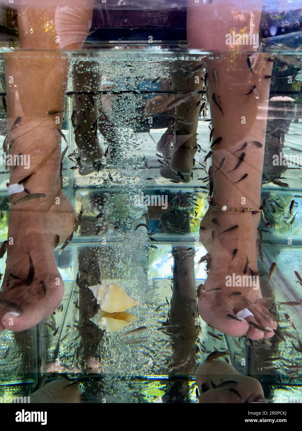 Young woman's feet immersed in a water tank where fish called 'Garra Rufa' clean and exfoliate the dead skin cells of the feet. Concept lifestyle and Stock Photo