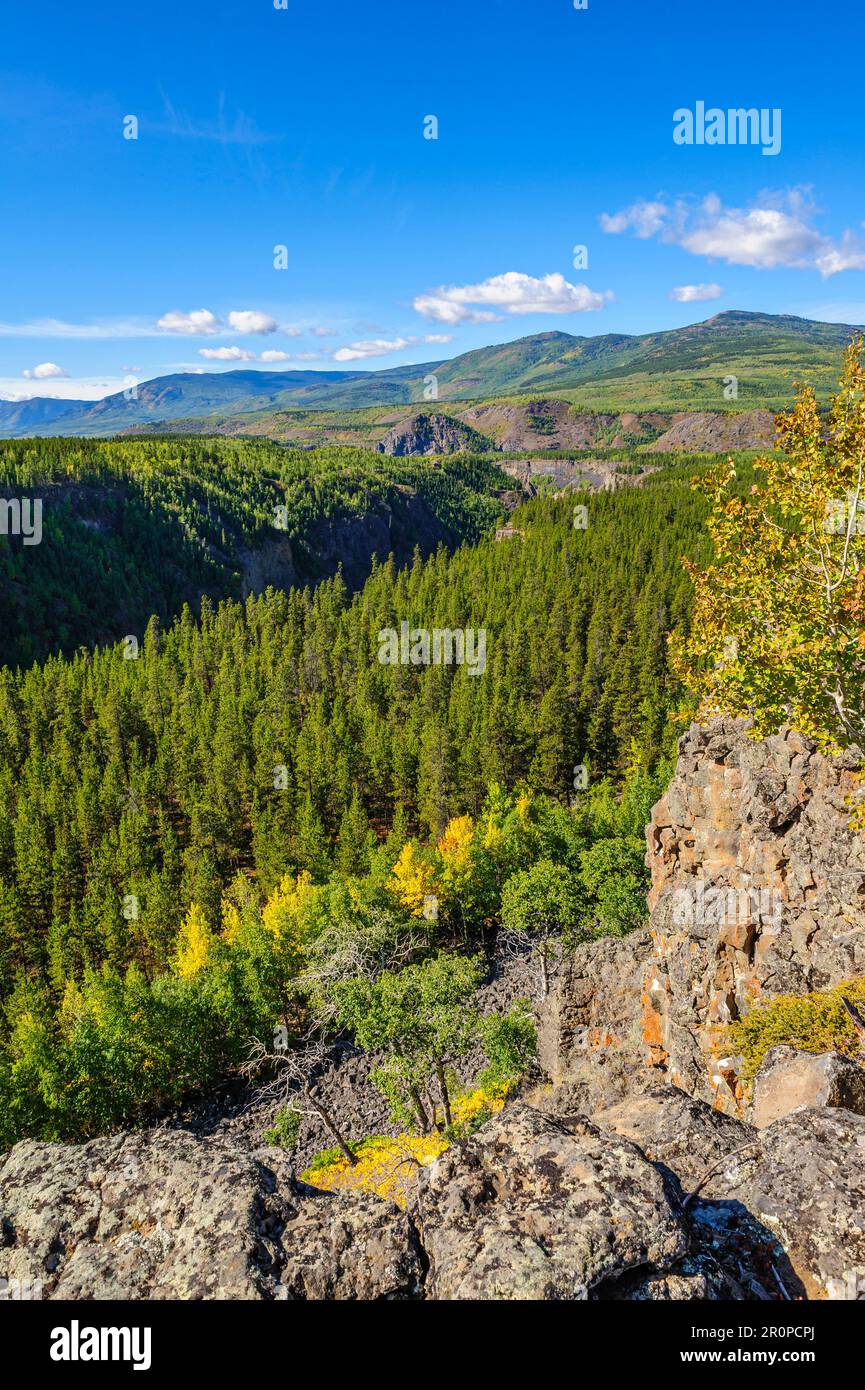 Overlooking the Stikine River canyon near Day's Ranch, British Columbia Stock Photo