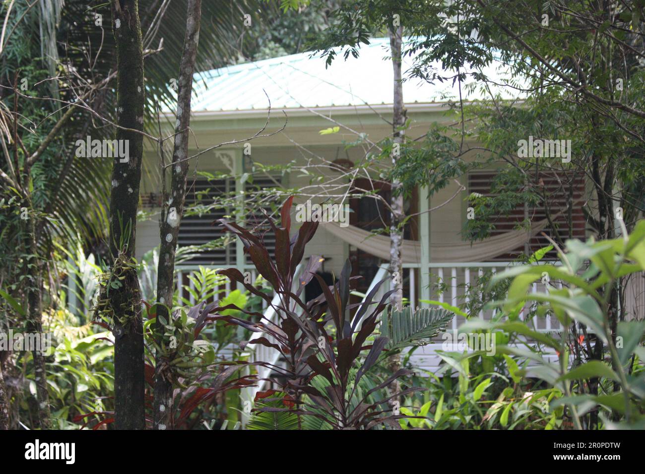 PUNTA GORDA, BELIZE - DECEMBER 22, 2008 hotel building near the town Stock Photo