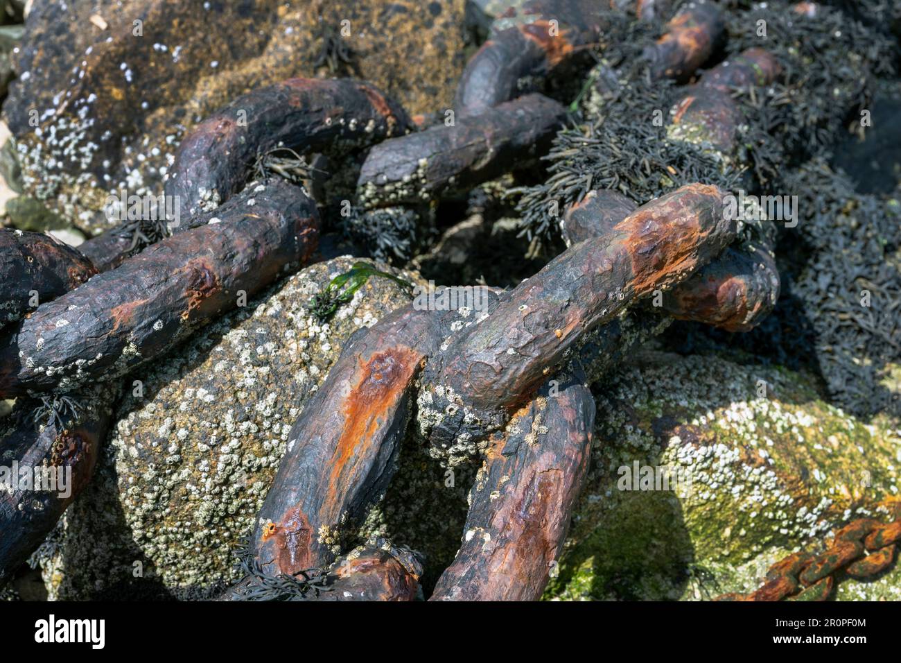 Rusty Mooring chains Stock Photo