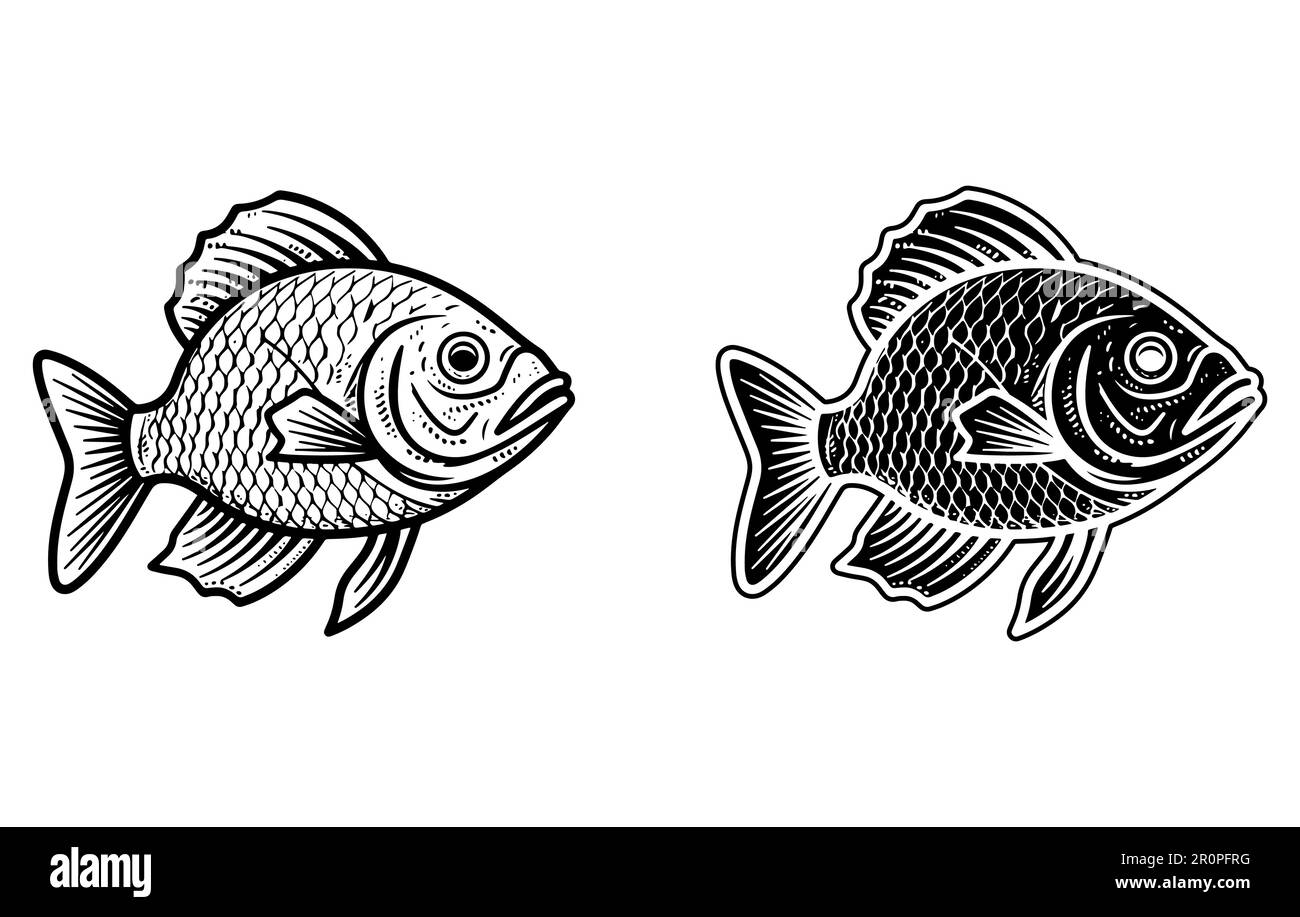 Fish outline drawing Stock Vector Image & Art - Alamy