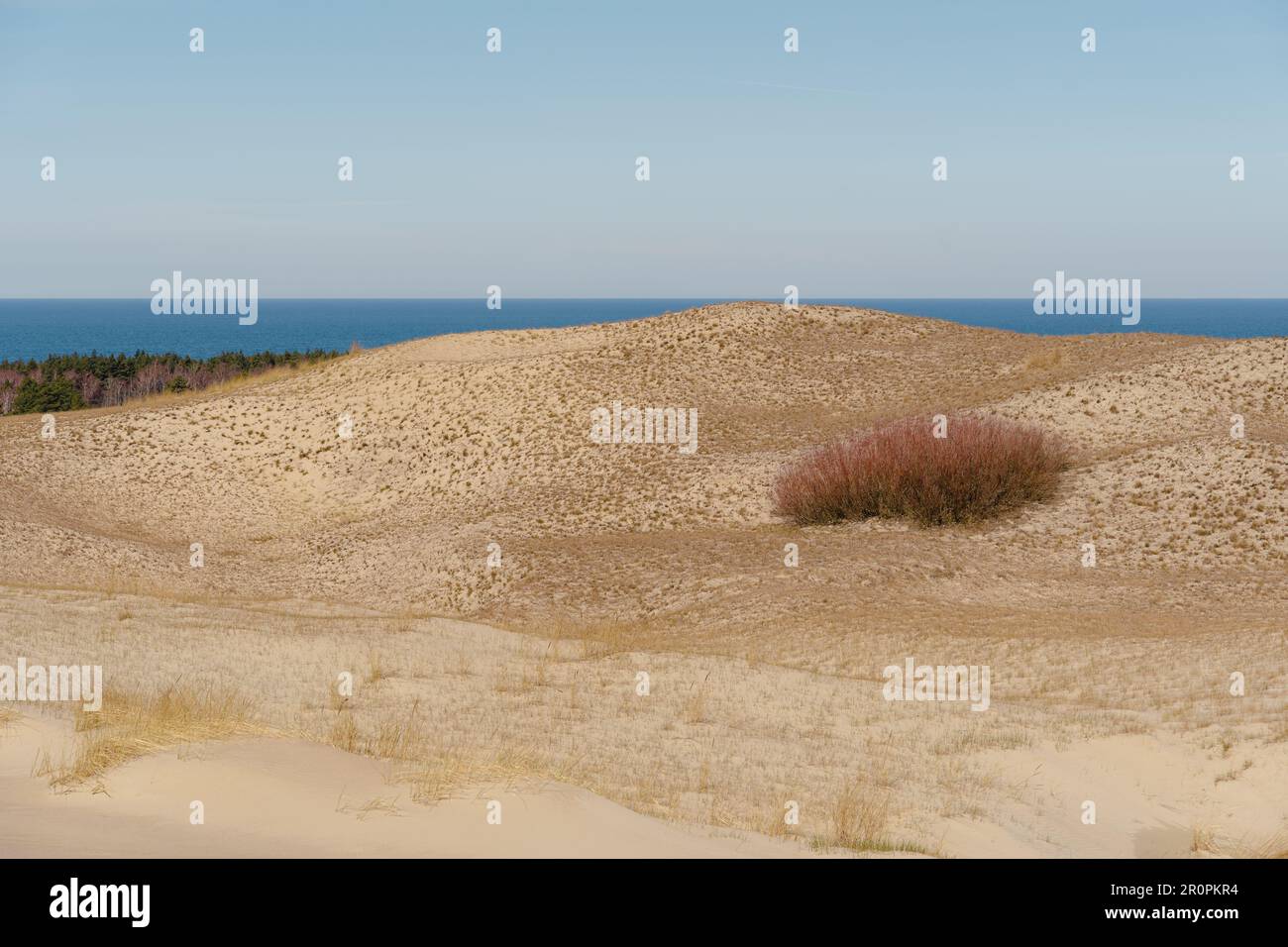 The Gray Dunes, or the Dead Dunes is sandy hills with a bit of green specks at the Lithuanian side of the Curonian Spit. Stock Photo