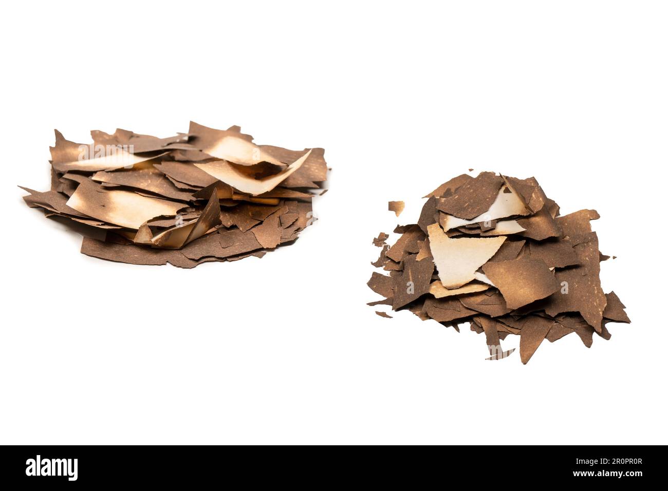 Burnt paper isolated on a white background. Copy space. Stock Photo