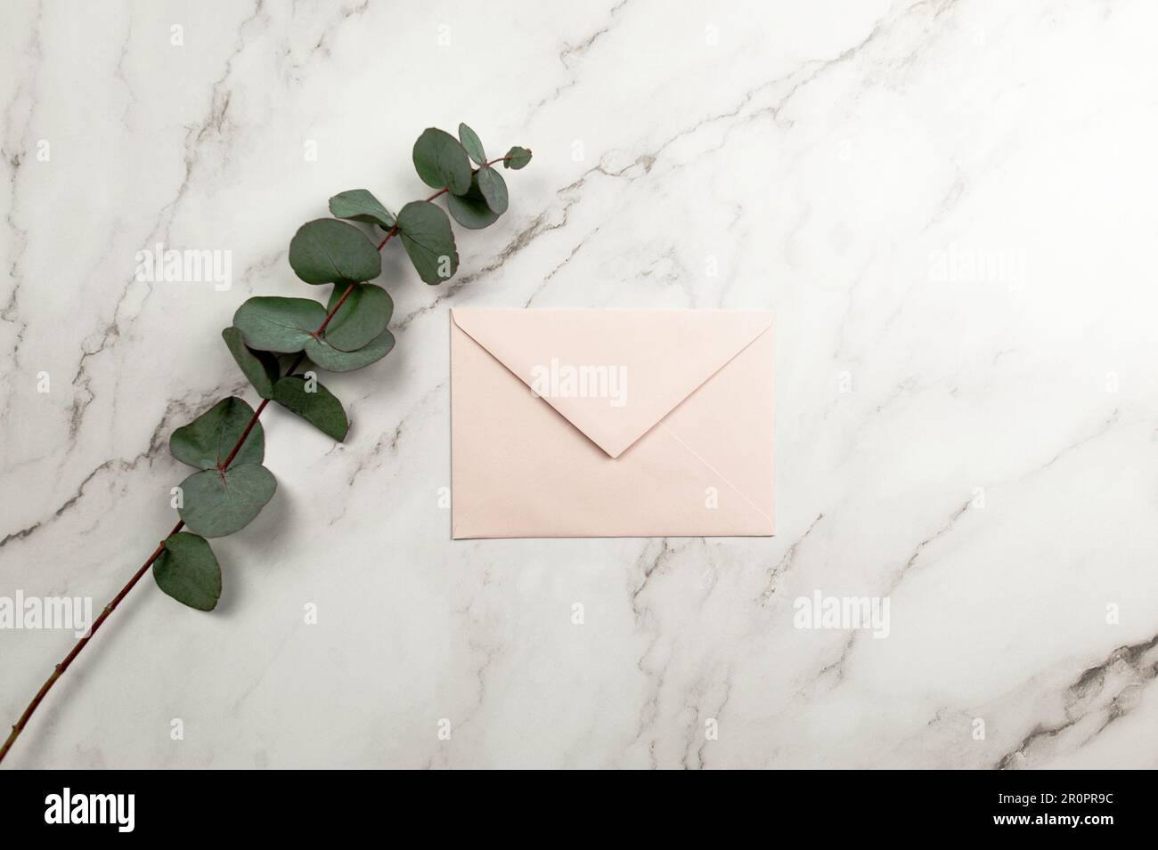 Top view of eucalyptus leaves and pink envelope on white marble background. Flat lay, copy space. Stock Photo