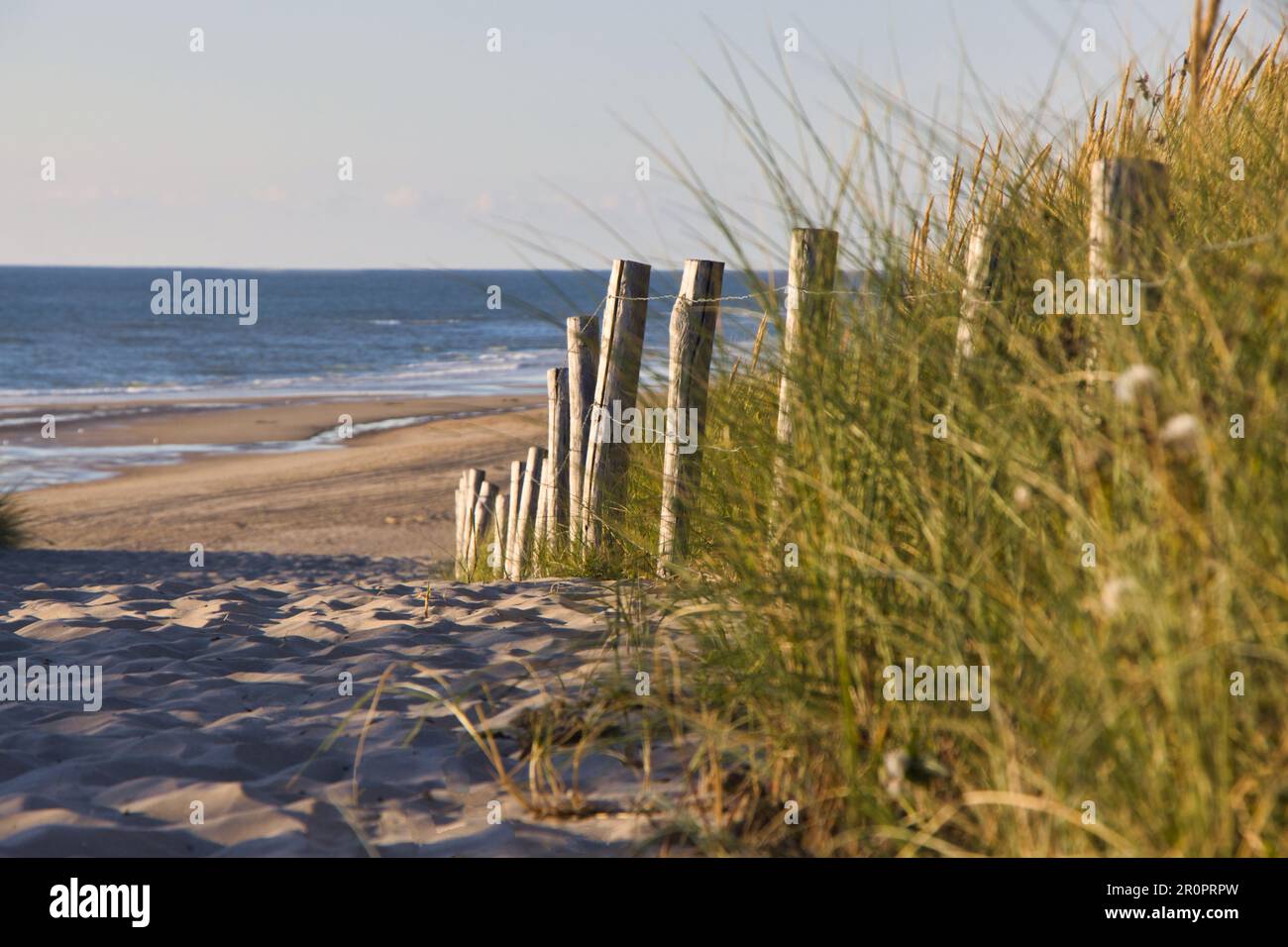 Impressions of the North Sea in summer with good weather Stock Photo