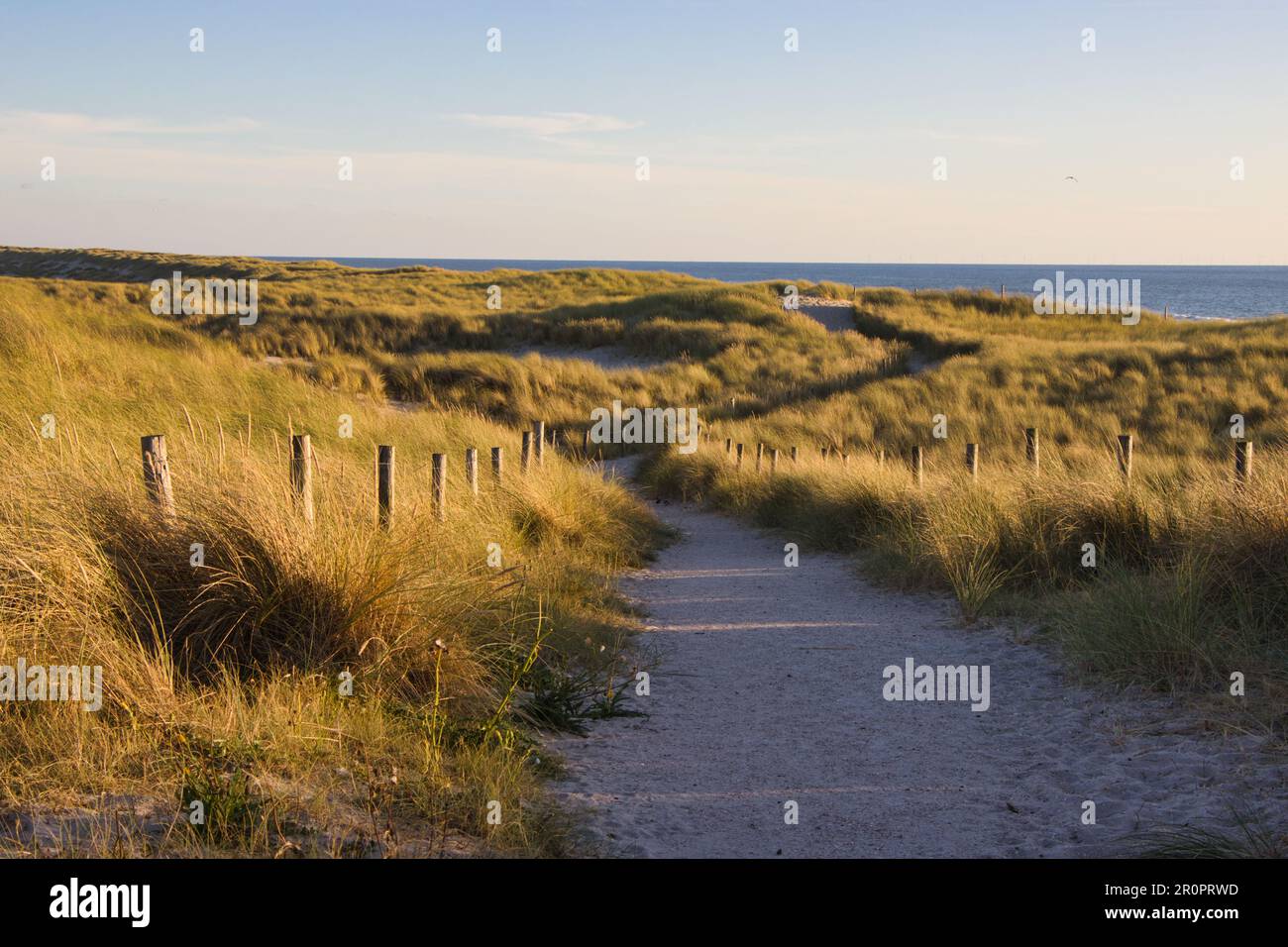 Impressions of the North Sea in summer with good weather Stock Photo